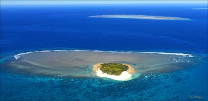 Wilson Island - QLD (PBH4 00 18427)